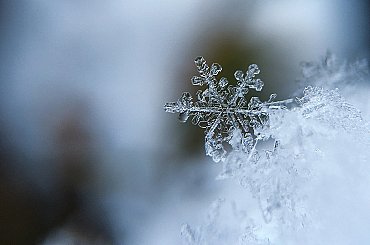 Texaská energetika při zimní bouři zkolabovala. Pomůže zateplení a tepelná čerpadla?