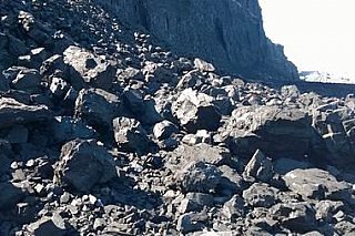 Trump nařídil ministerstvu energetiky, aby podpořilo udržení uhelných elektráren